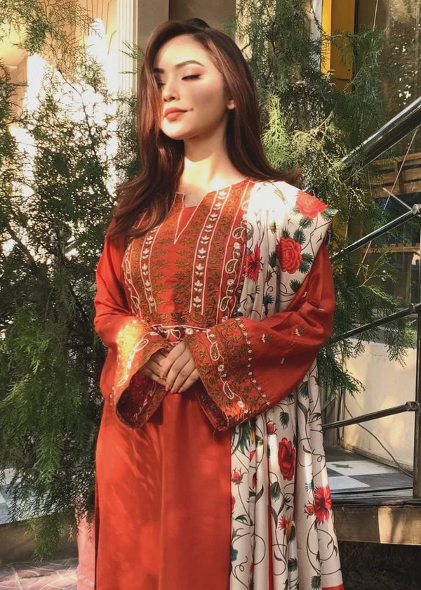 Ayat 3pc-Embroidered - Haveli