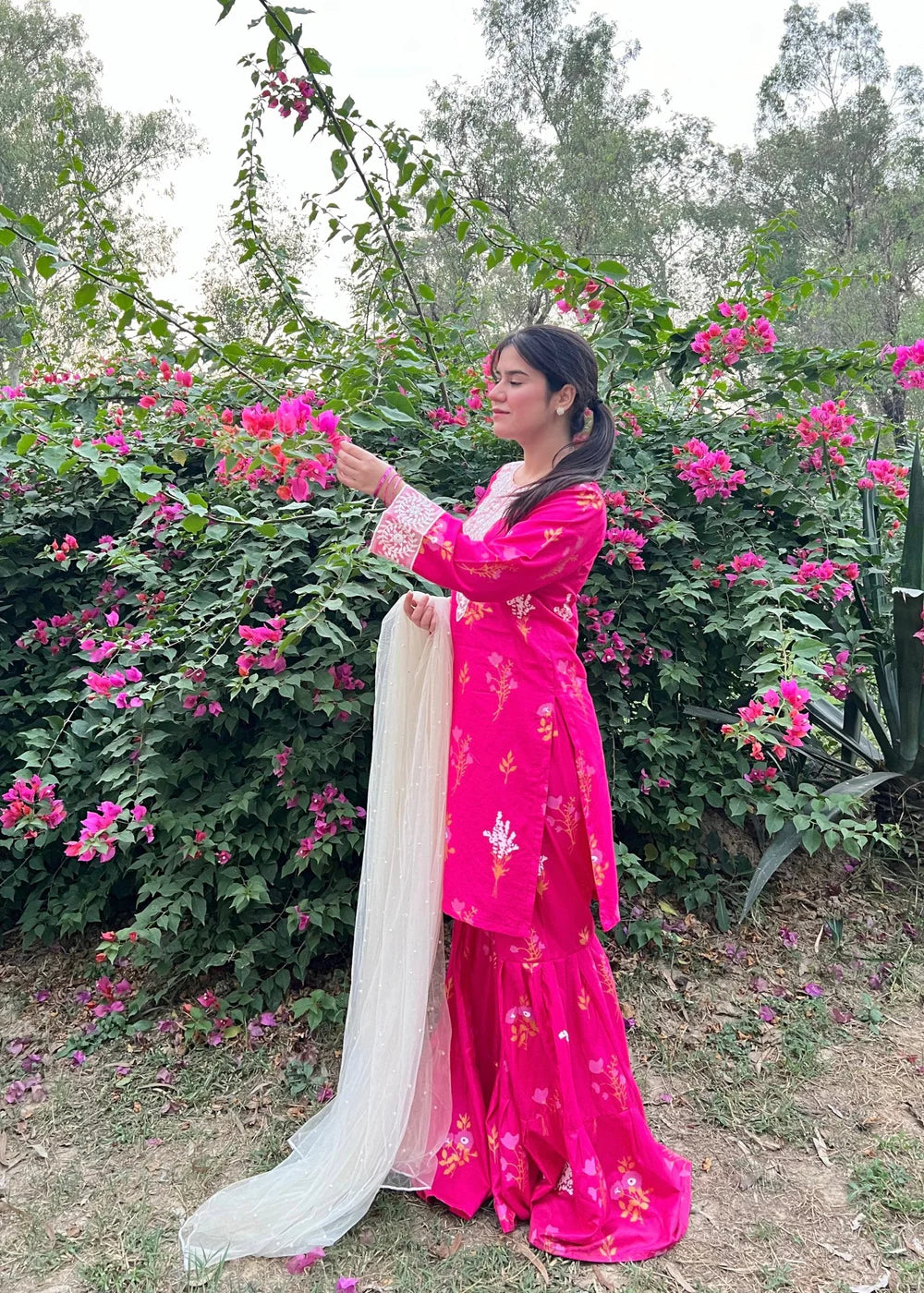 Powder PInk 2PC-Printed-Haveli
