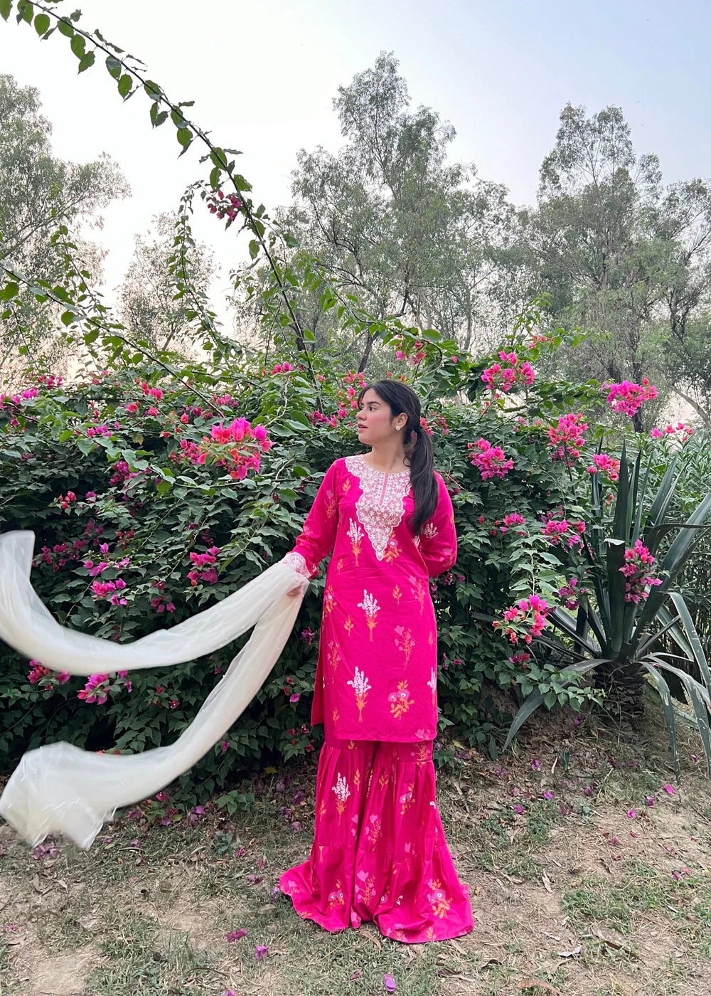 Powder PInk 2PC-Printed-Haveli