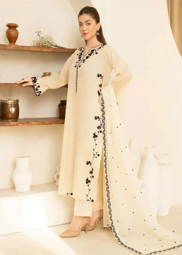 Noor jahan 3pc-Embroidered - Haveli