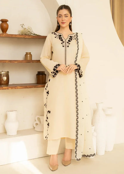 Noor jahan 3pc-Embroidered - Haveli