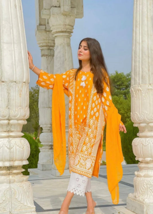 Bulbine 3PC-Embroidered-Haveli