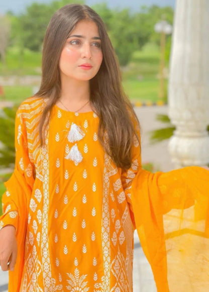 Bulbine 3PC-Embroidered-Haveli