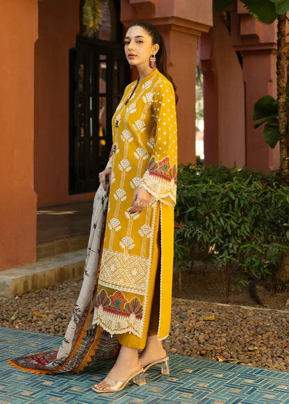 COCO  3PC-Embroidered-Haveli