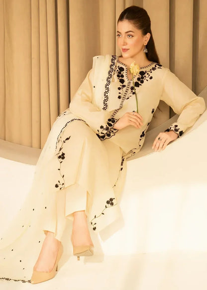 Noor jahan 3pc-Embroidered - Haveli