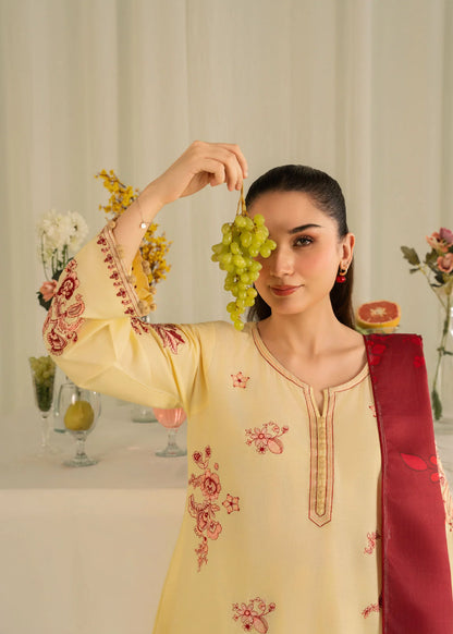 Zawiya  3PC - Embroidered